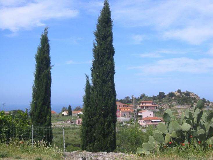 Zanca Zanca
