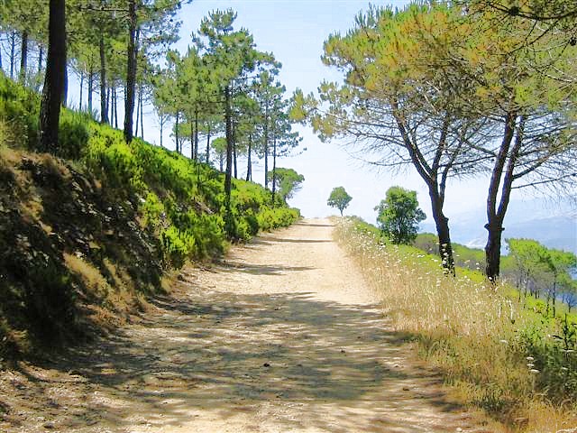Wanderweg am Monte Calamita