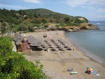 Reale