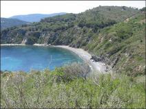 Acquarilli