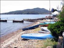 Grigolo