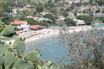 Cavoli