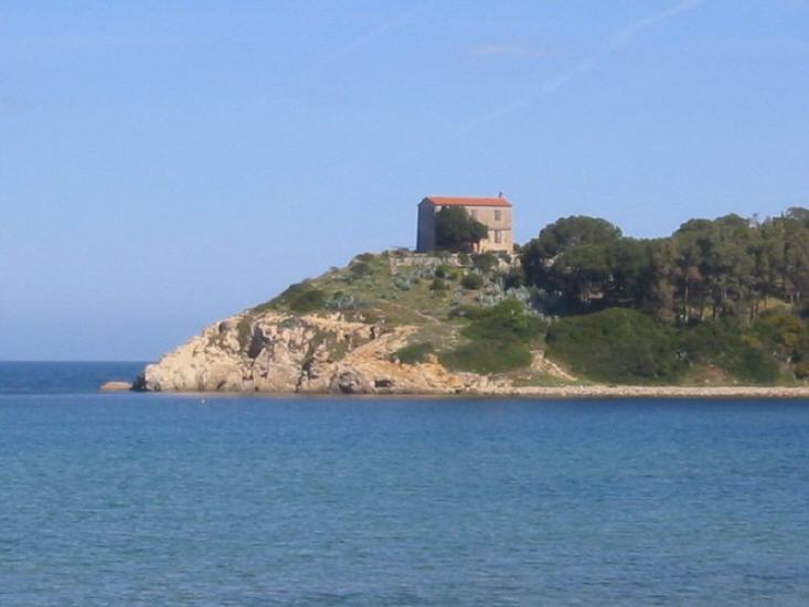 Procchio
