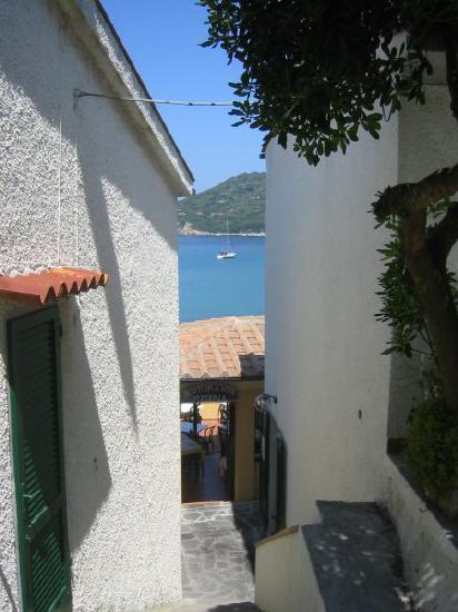 Viticcio